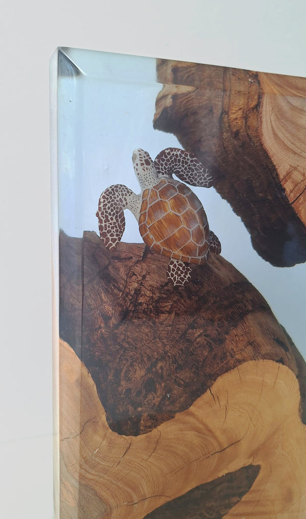 Decorative resin sculpture with a turtle on a wooden base and background