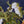Artwork print of flowers - Studio 2 Art & Design