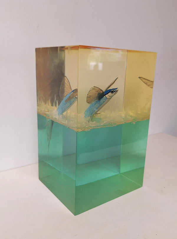 'Flying Fish' Resin Sculpture