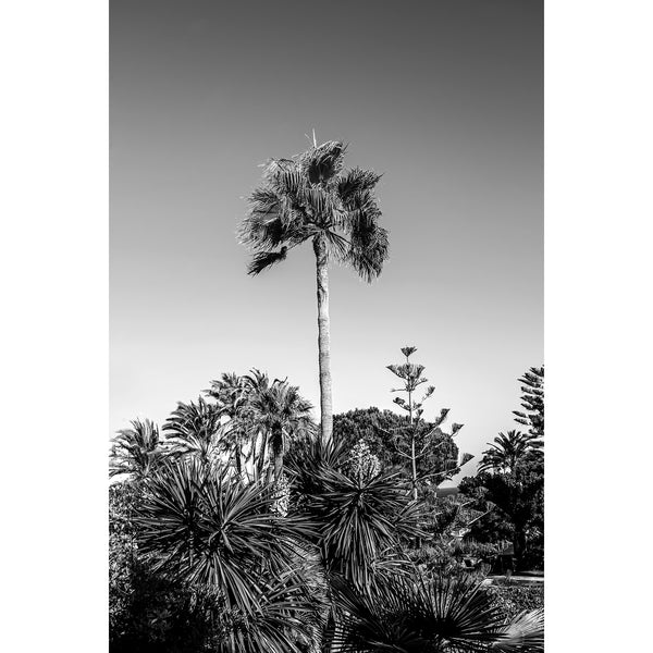 Marbella Nº 11