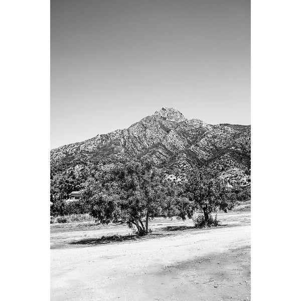 Marbella Nº 13